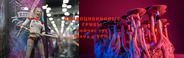 дмт Гусь-Хрустальный