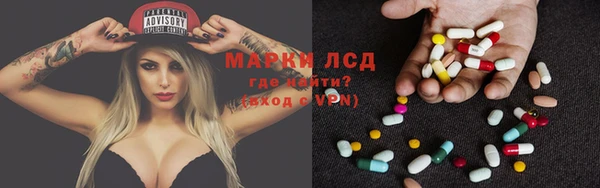 мяу мяу мука Гусев