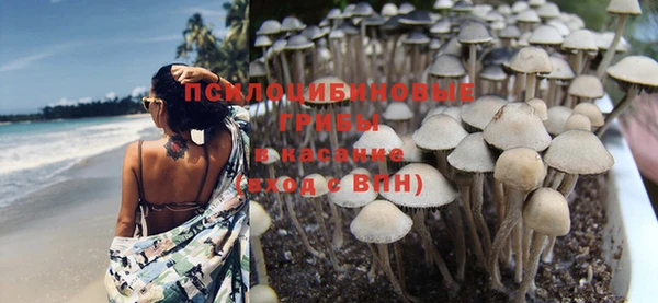 дмт Гусь-Хрустальный
