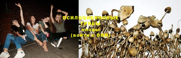 марихуана Гусиноозёрск