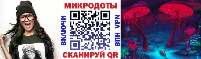 цена наркотик  Сенгилей  Псилоцибиновые грибы Cubensis 