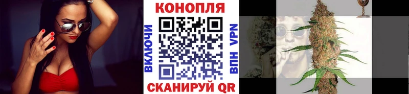 Шишки марихуана тримм  MEGA ONION  Сенгилей 